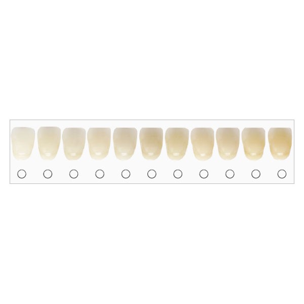 BleachRefills Tooth Whitening Shade Guide (1 pk)